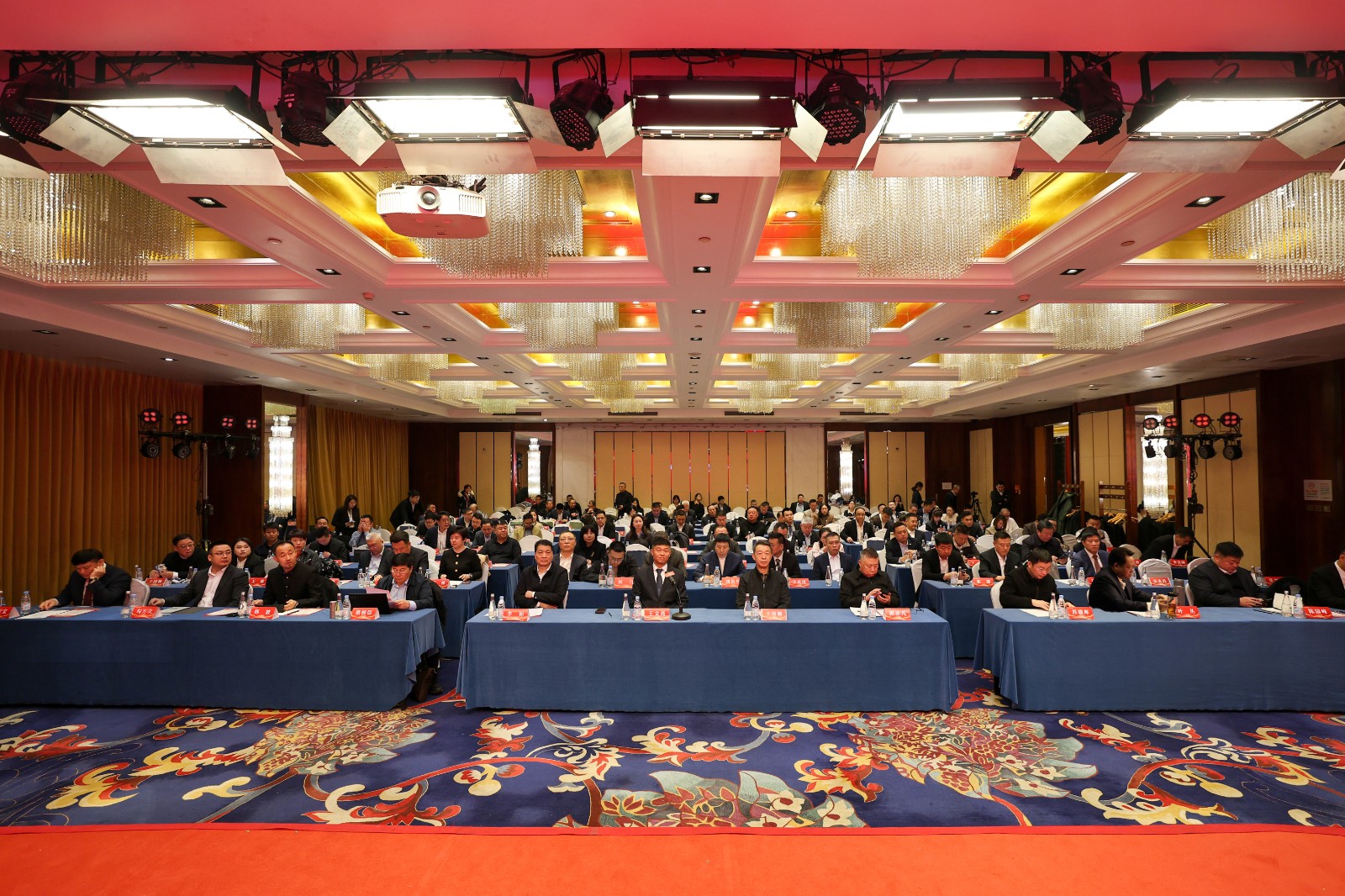 1770256515660.jpg E03A3303-2.jpg